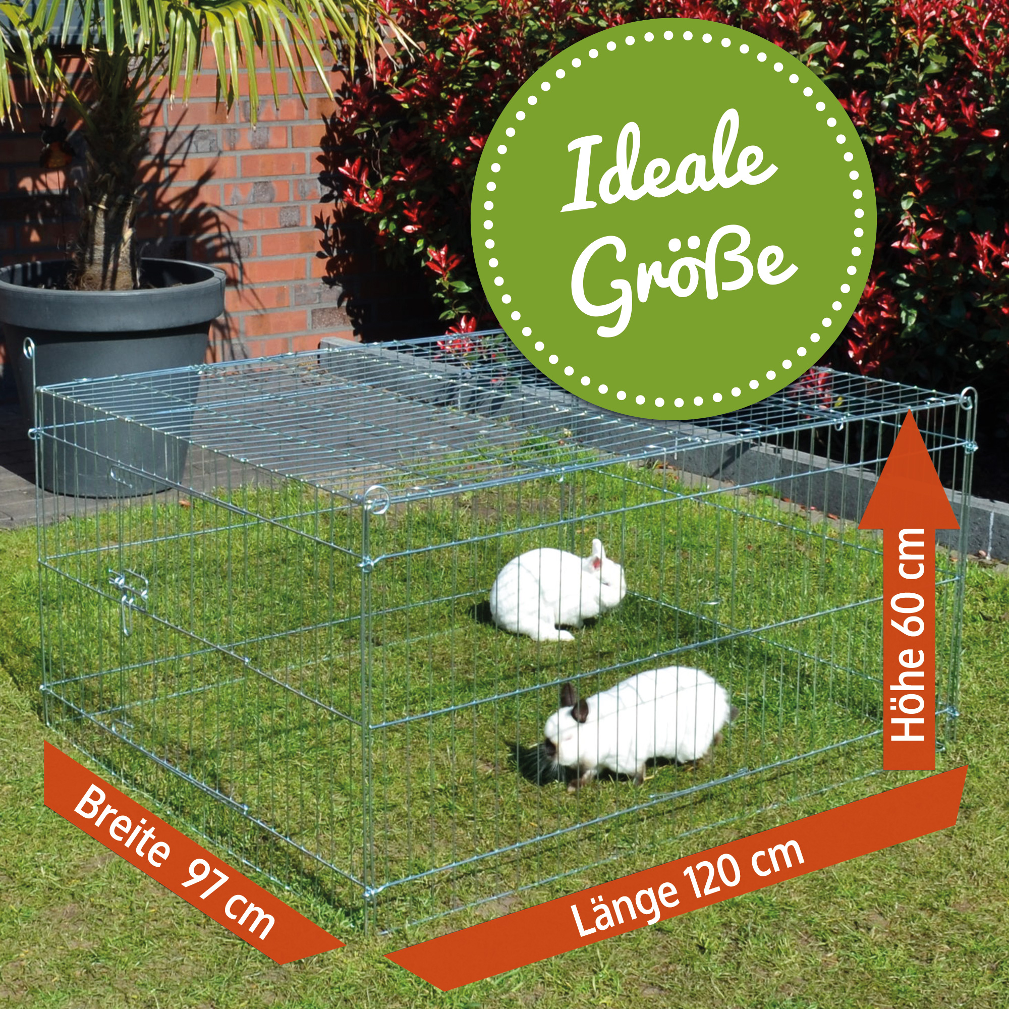 Hasengehege mit 120 x 97 cm Fläche und 60 cm Höhe – optimal für draußen
