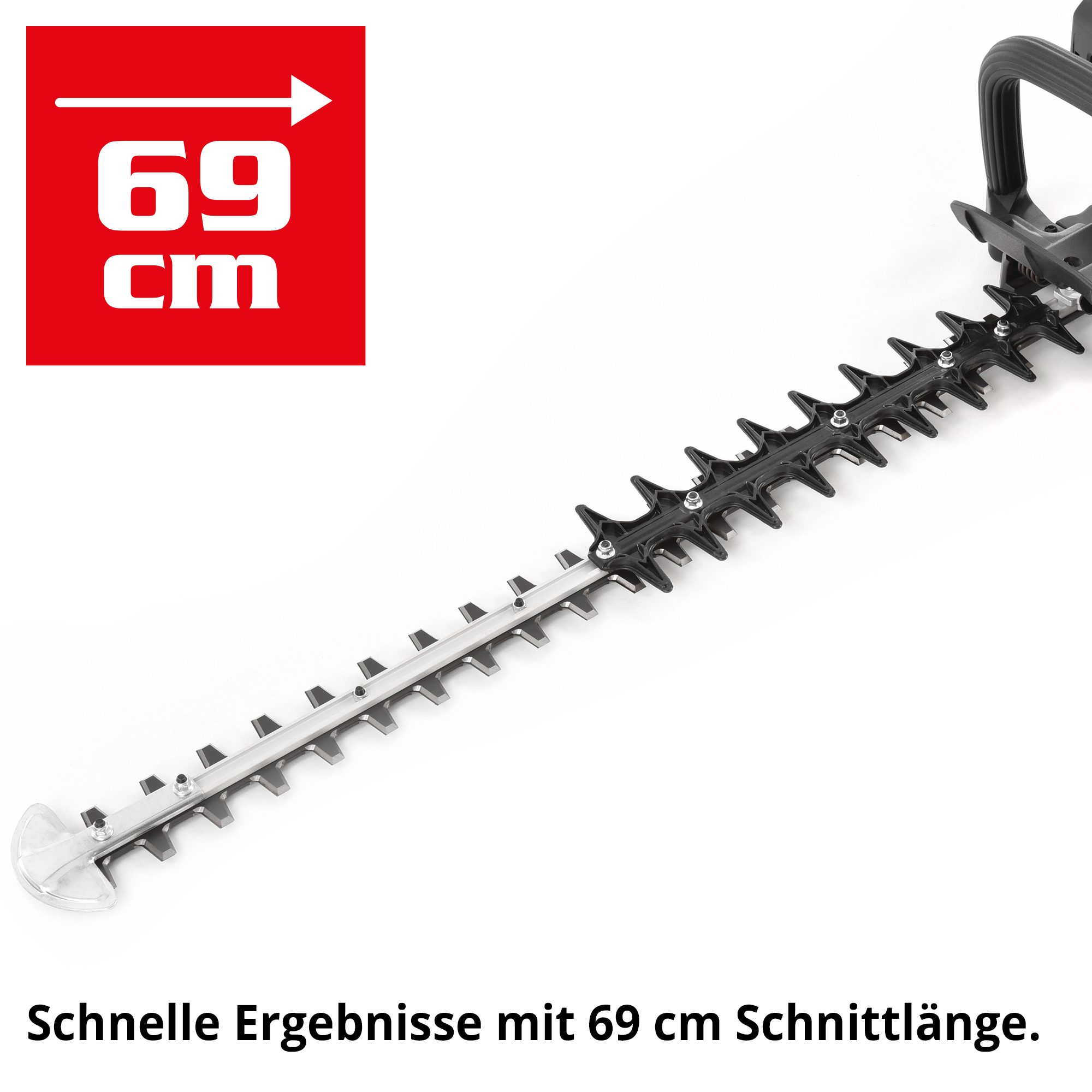 558-galeriebild_2