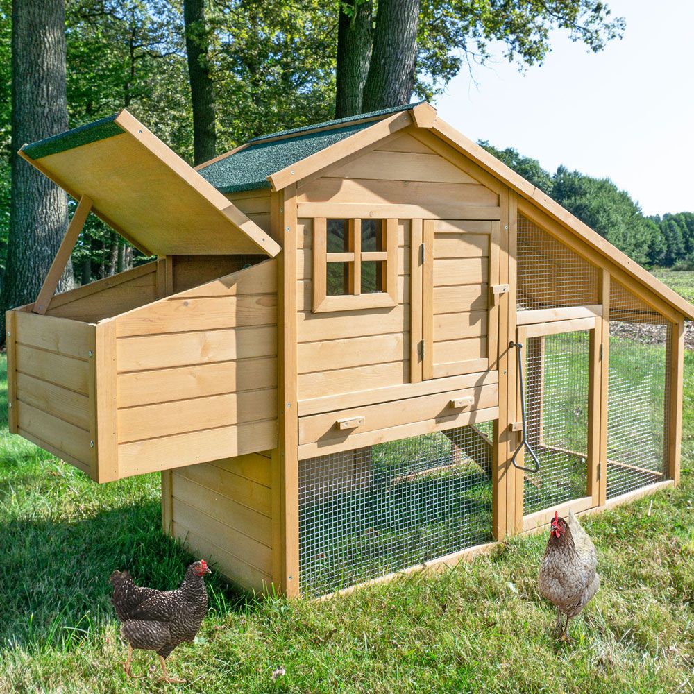 zooprinz Hühnervoliere Komfort XXL Hühnergehege mit Frischluft  zooprinz Hühnervoliere Komfort XXL Hühnergehege mit Frischluft