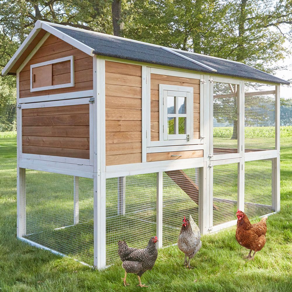 Hühnervoliere Alpenhof; Auslauf-Bereich unter und neben dem Haupthaus Hühnervoliere Alpenhof; Auslauf-Bereich unter und neben dem Haupthaus