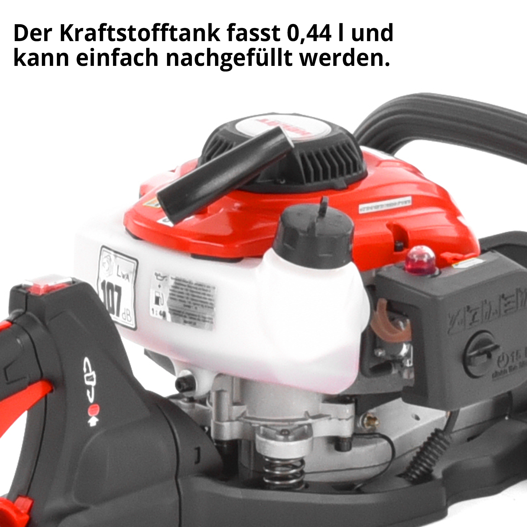558-galeriebild_8