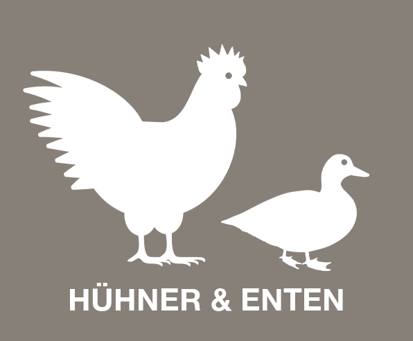 Hühner & Enten Tierausstattung