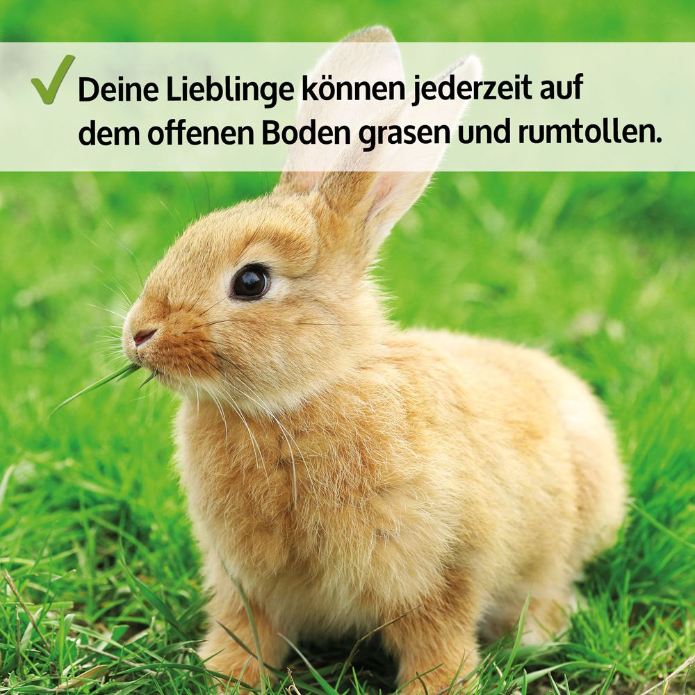 zooprinz Hasenstall Jumbo offener Boden zum Grasen
