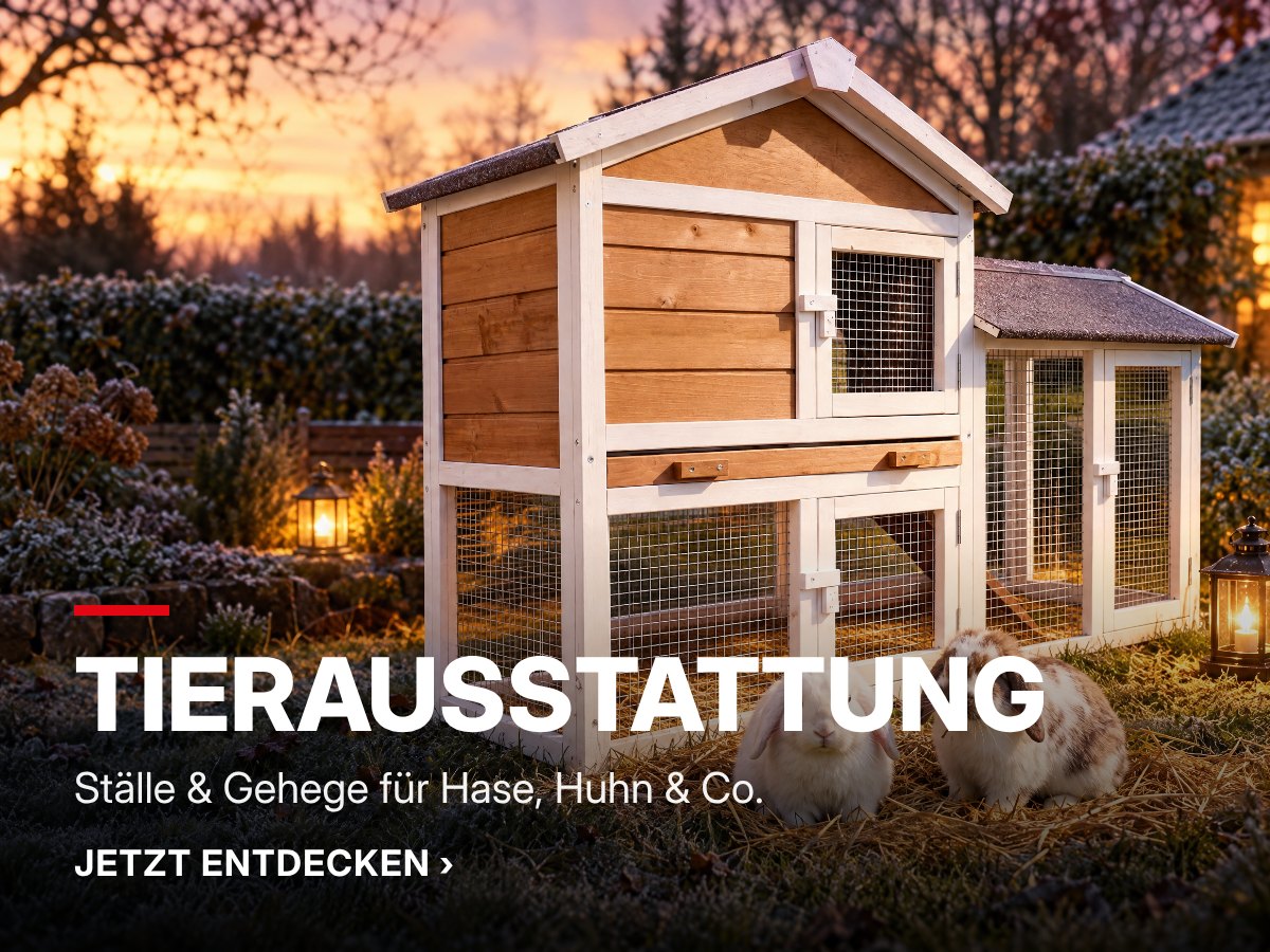 (Dieses Bild wurde mit Hilfe von KI generiert.)