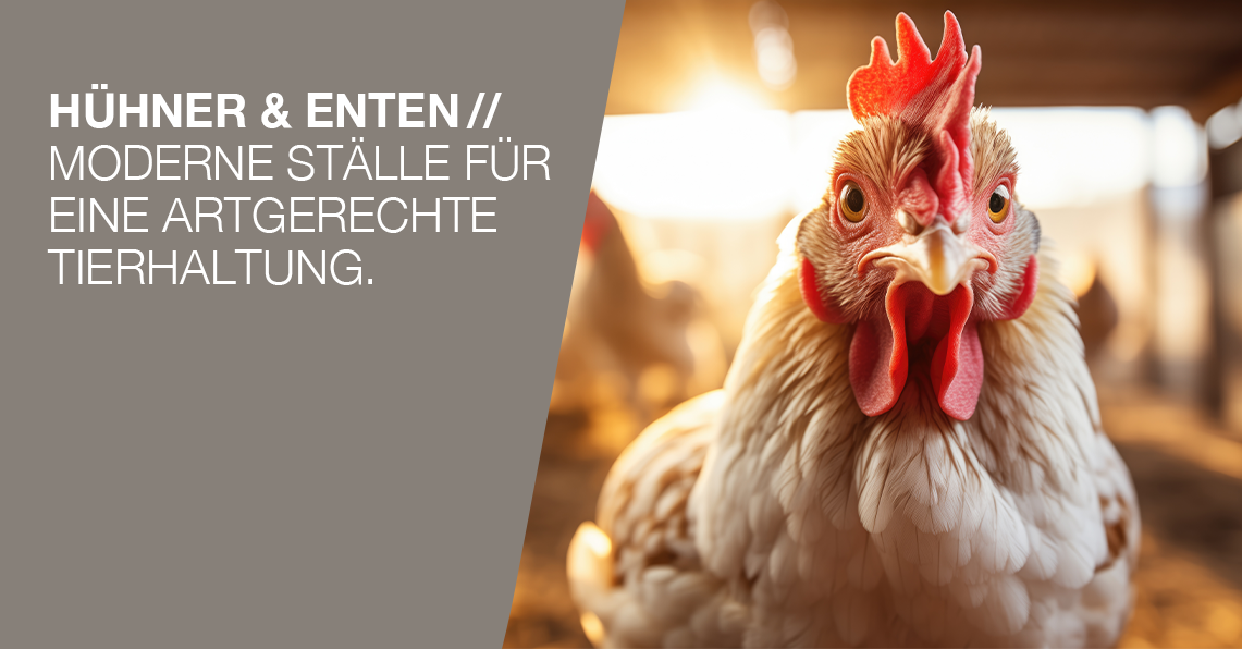 Hühner & Enten Tierausstattung