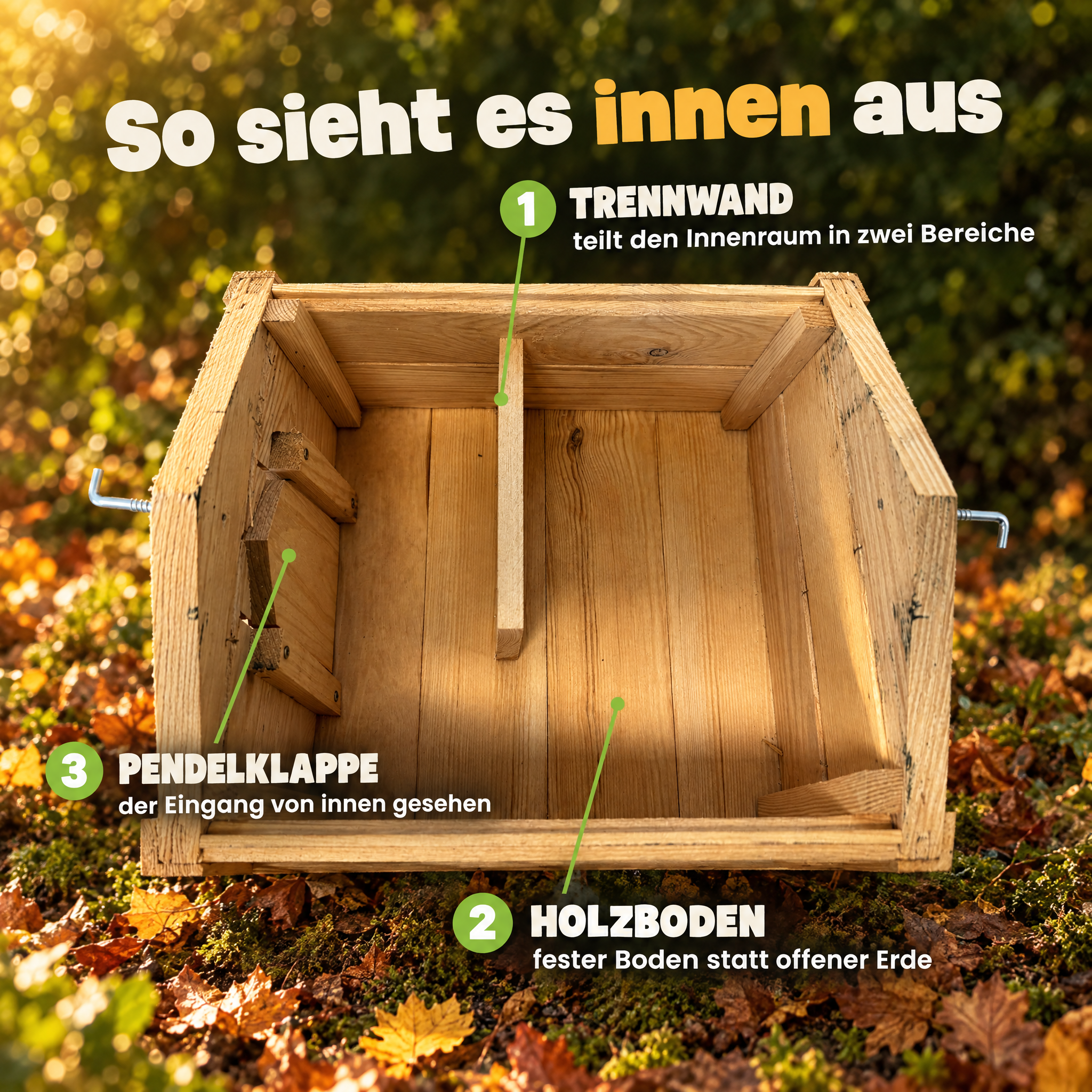 Igelhotel Innenraum: Trennwand, fester Holzboden und Eingang (Dieses Bild wurde mit Hilfe von KI generiert.)
