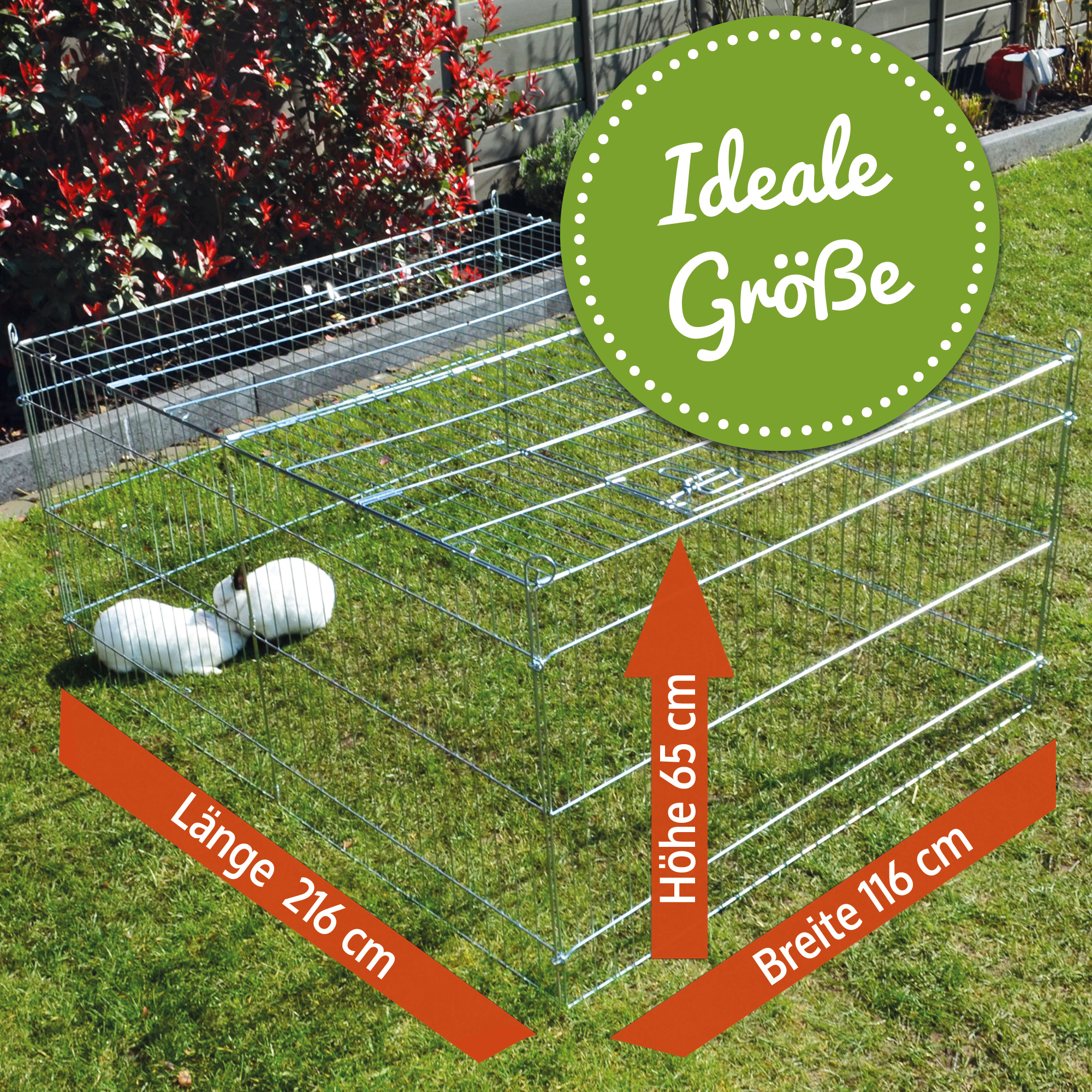 Auslaufgehege Größe XL mit 216 × 116 × 65 cm – extra viel Raum zum Hoppeln