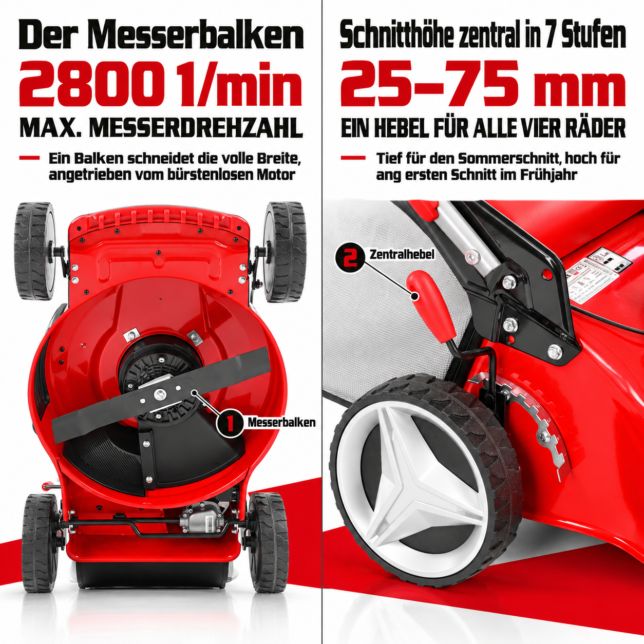 HECHT Akku-Rasenmäher: Bürstenloser Motor und zentrale Schnitthöhe (Dieses Bild wurde mit Hilfe von KI generiert.)