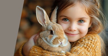 Nagetiere Tierausstattung