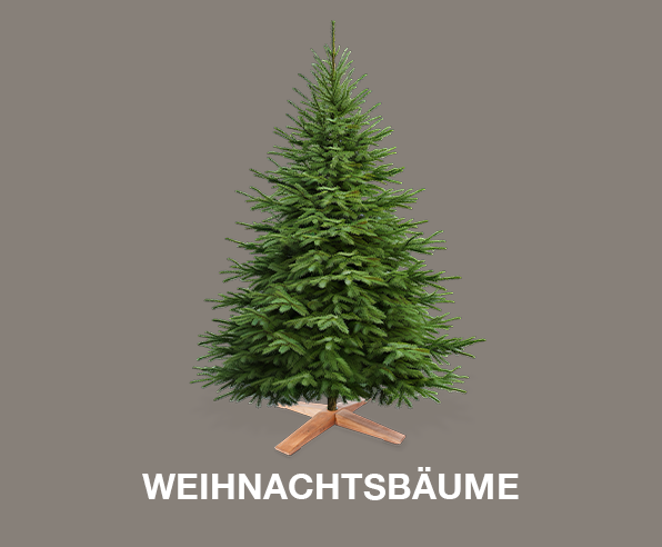 Weihnachtsbäume