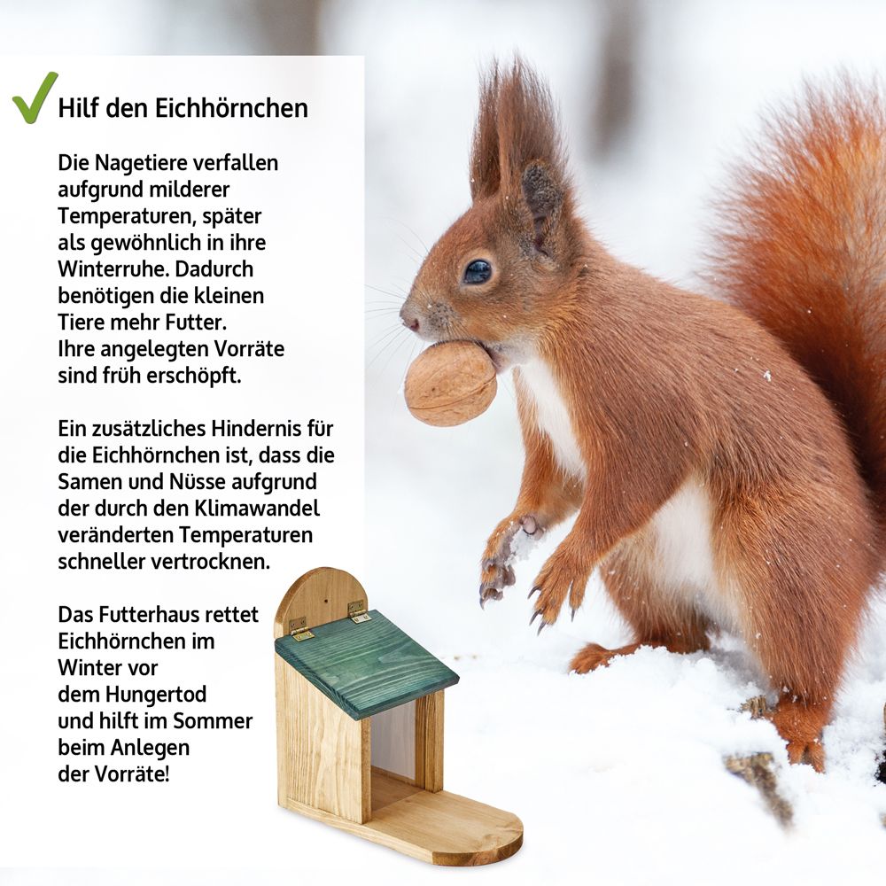 Eichhörnchen Futterstation; Hilft den Eichhörnchen beim Überleben im Winter