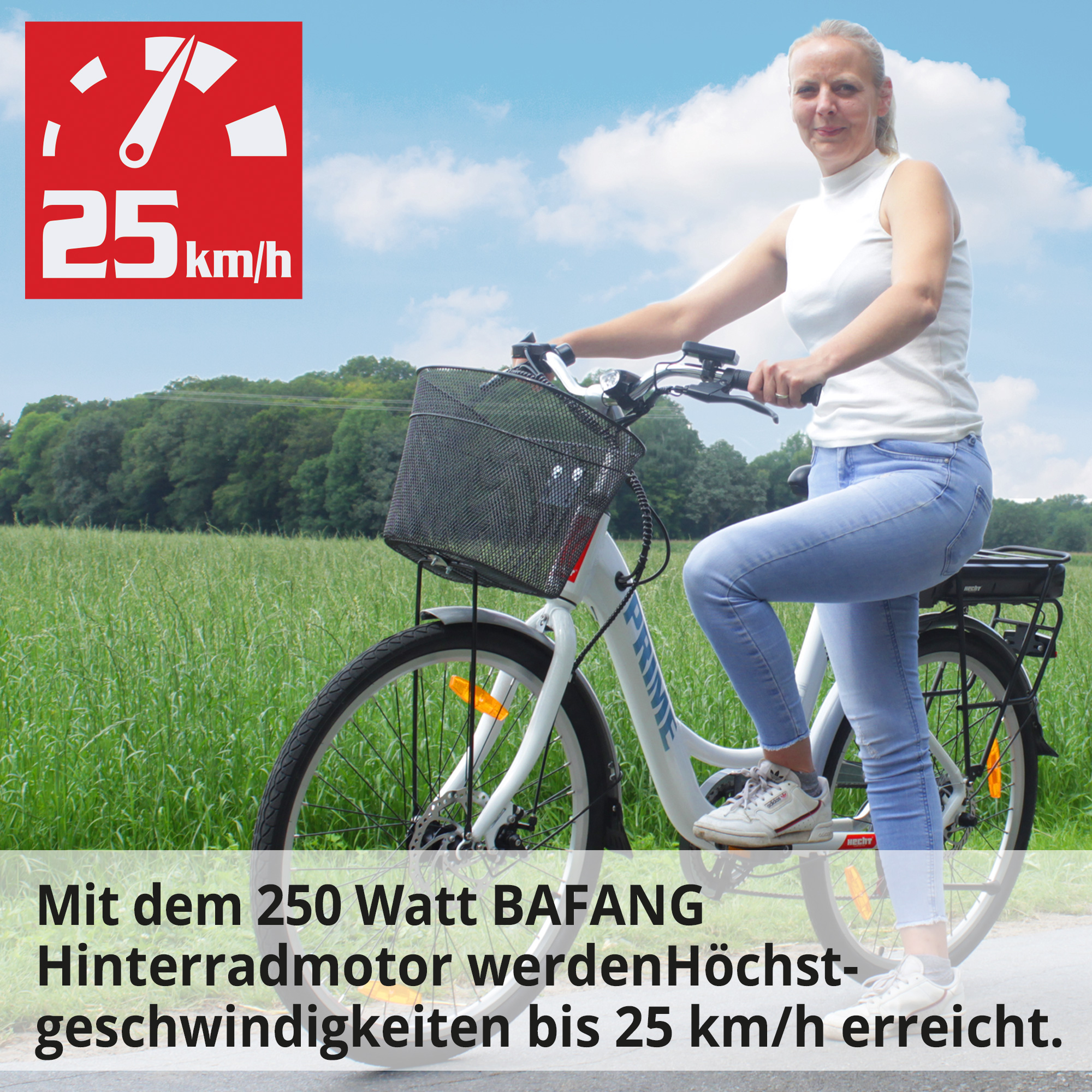 E-Bike mit 250 W Motor für bis zu 25 km/h im Alltagseinsatz mit Fahrerin