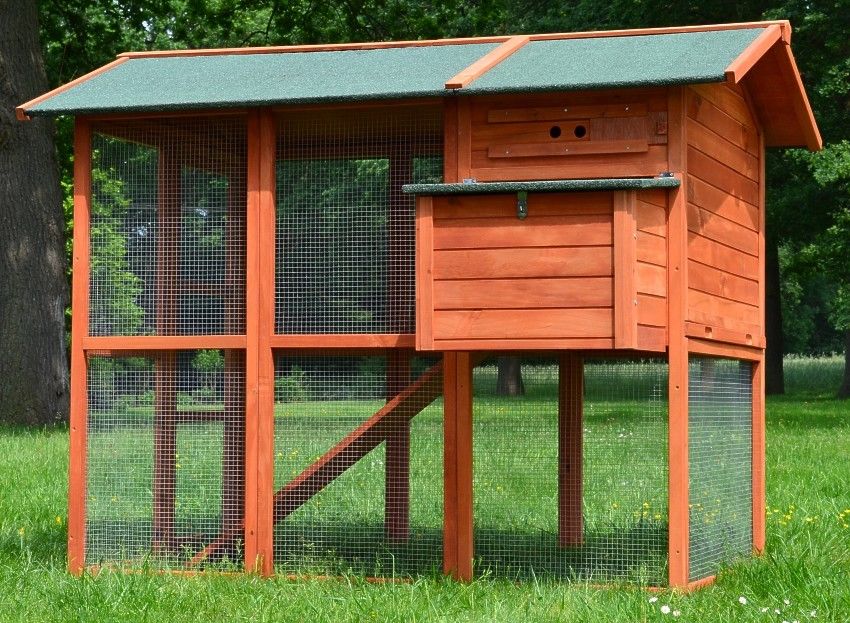 zooprinz Hühnervoliere Premium XXL mit Drahtschutz und Freilauf