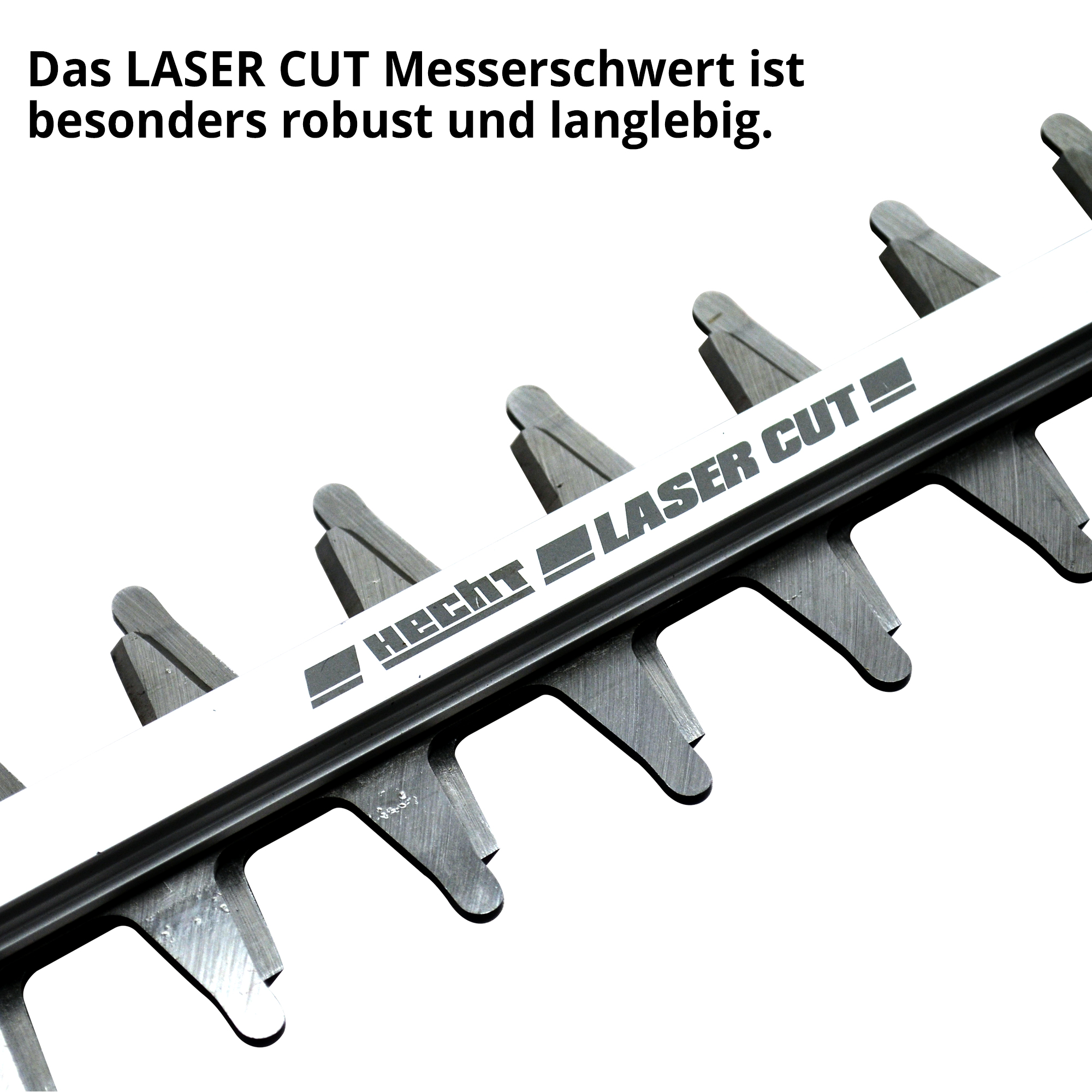 2543-galeriebild_3