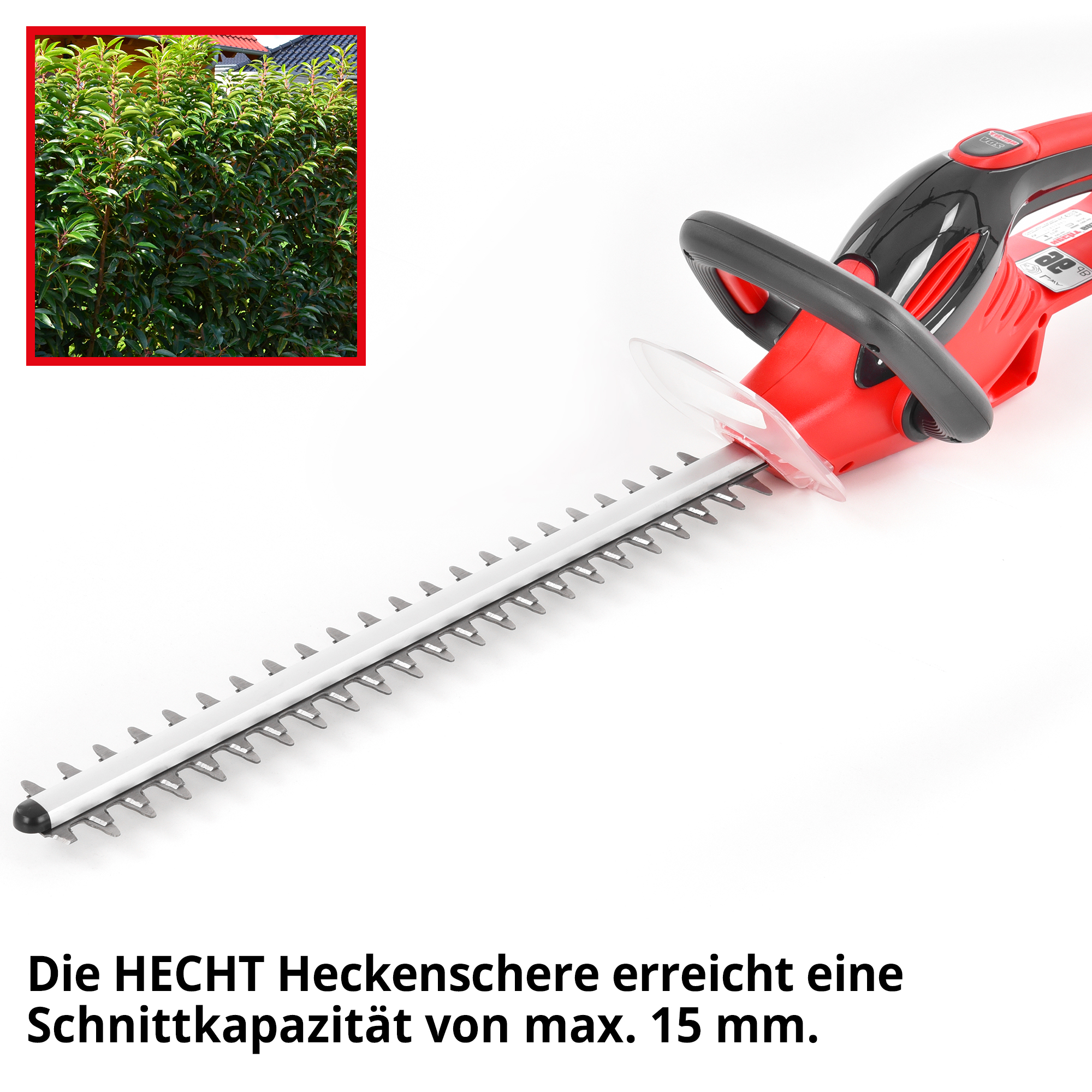 1131-galeriebild_8