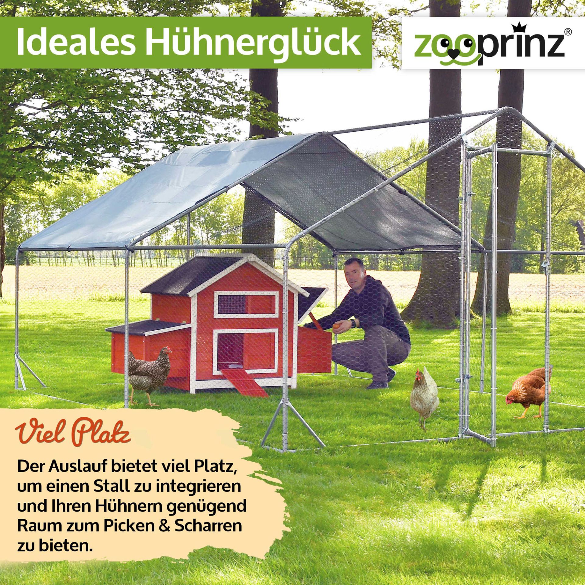 Hühnervoliere Steel; Viel Platz