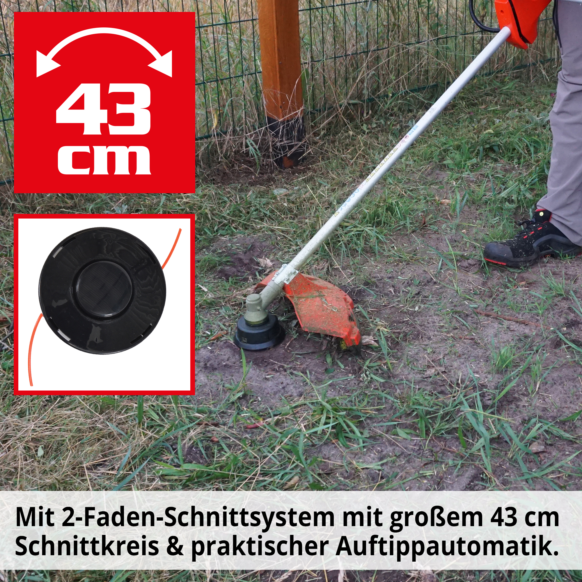 1381-galeriebild_3
