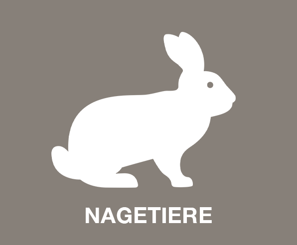 Nagetiere Tierausstattung