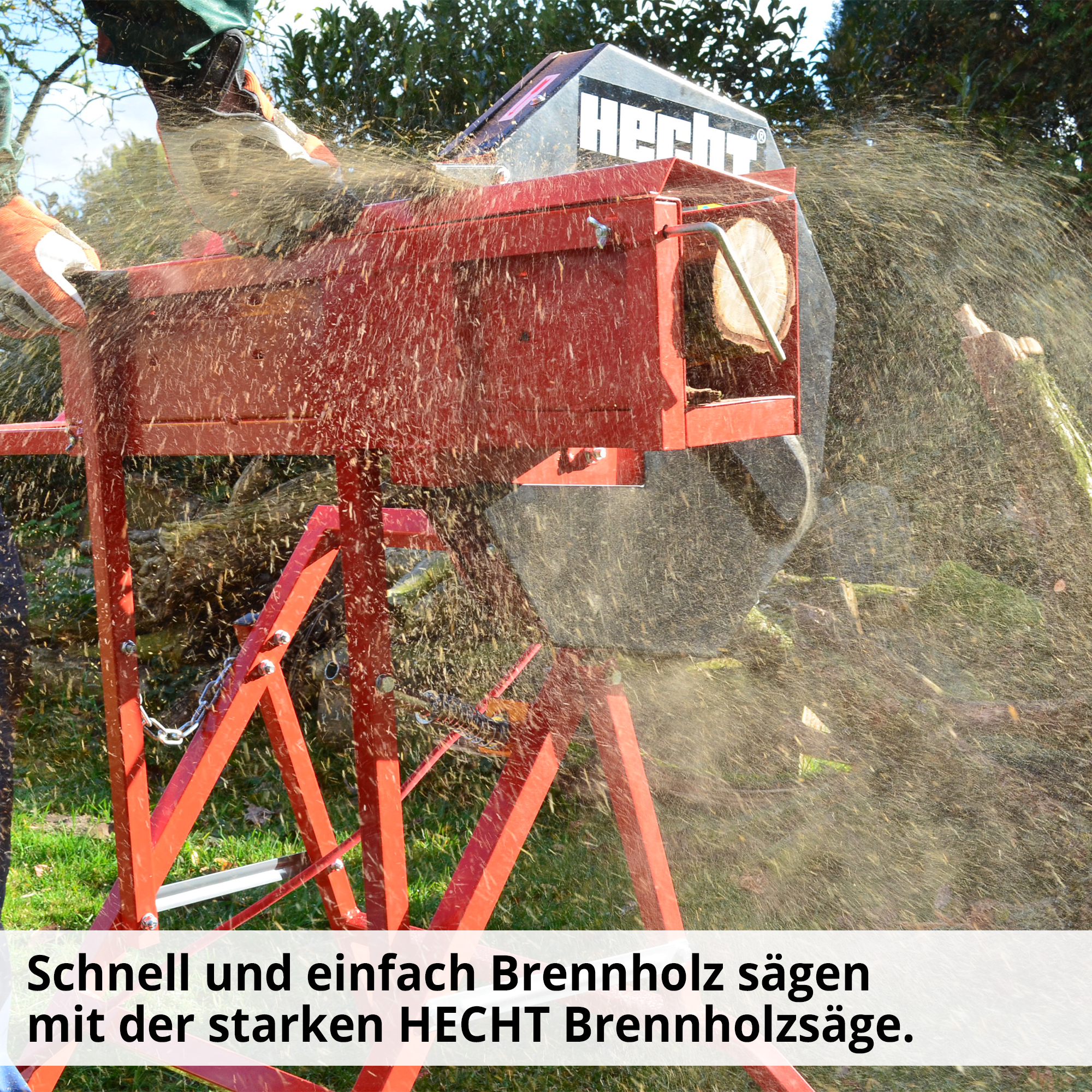 2588-galeriebild_10