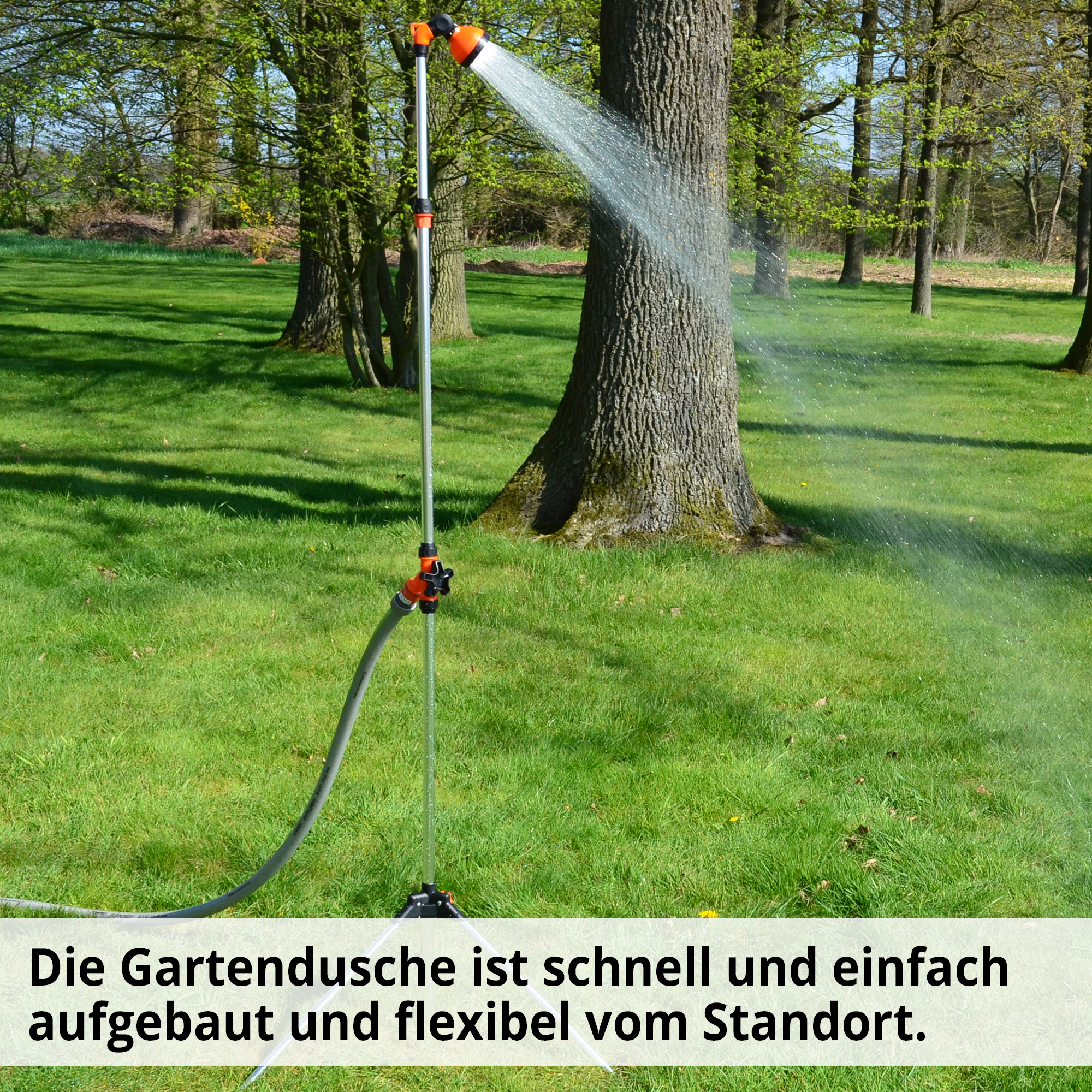 2466-galeriebild_8 2466-galeriebild_8