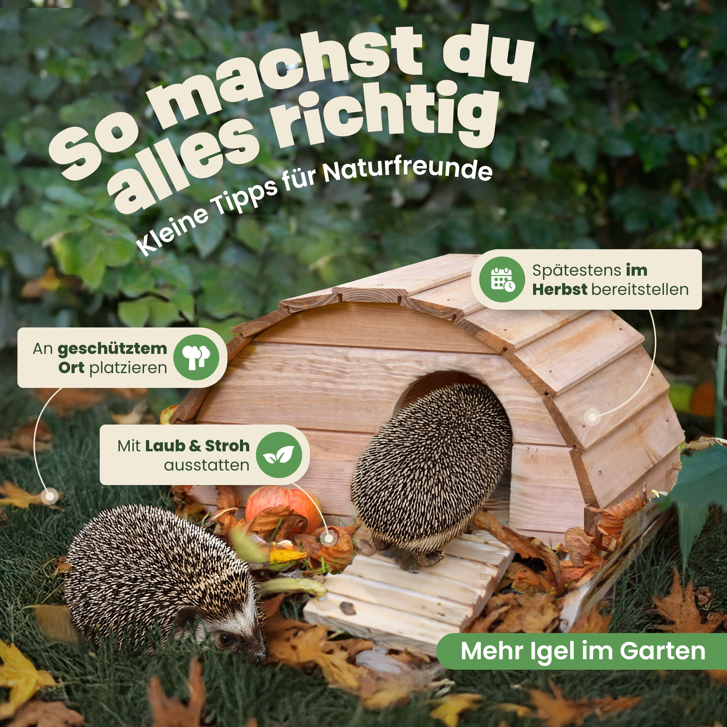 Natur Igelhaus für den Garten, schützt vor Kälte, Feuchtigkeit und Räubern