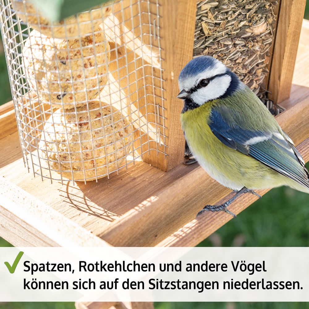 Vogelhaus Bird Kitchen; Sitzstange 