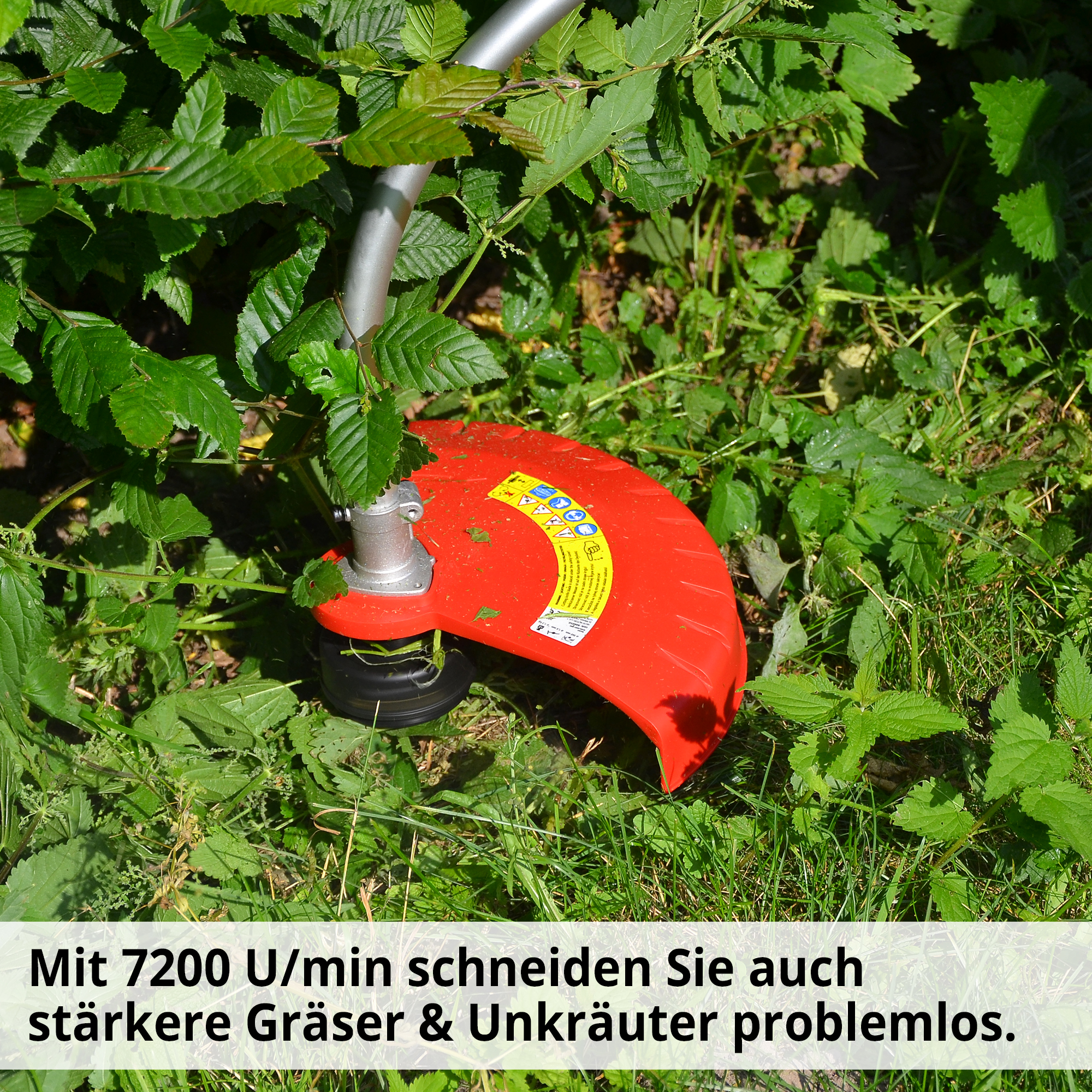 863-galeriebild_4