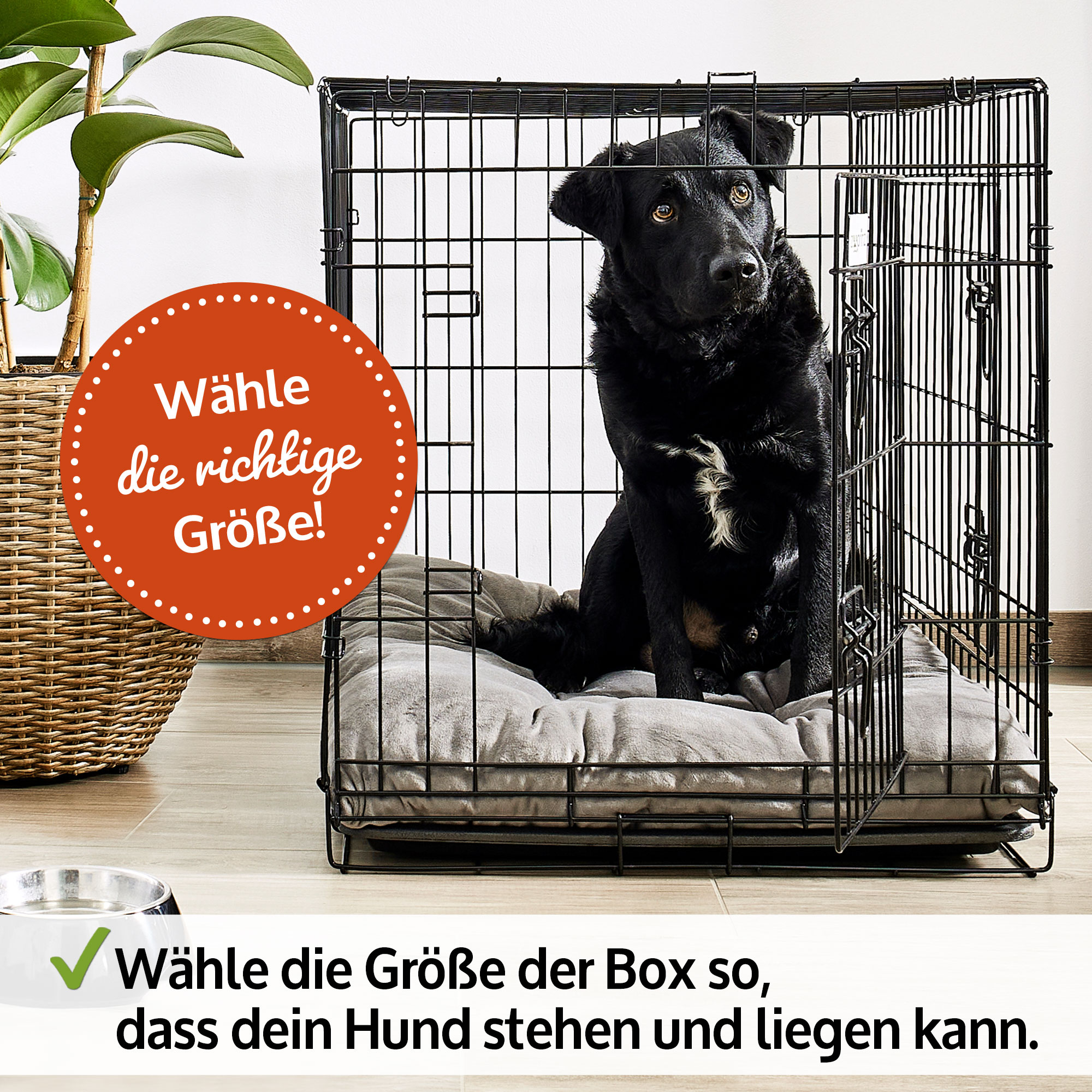 Transportkäfig zooprinz faltbar Größe M mit praktischer Kunststoffwanne