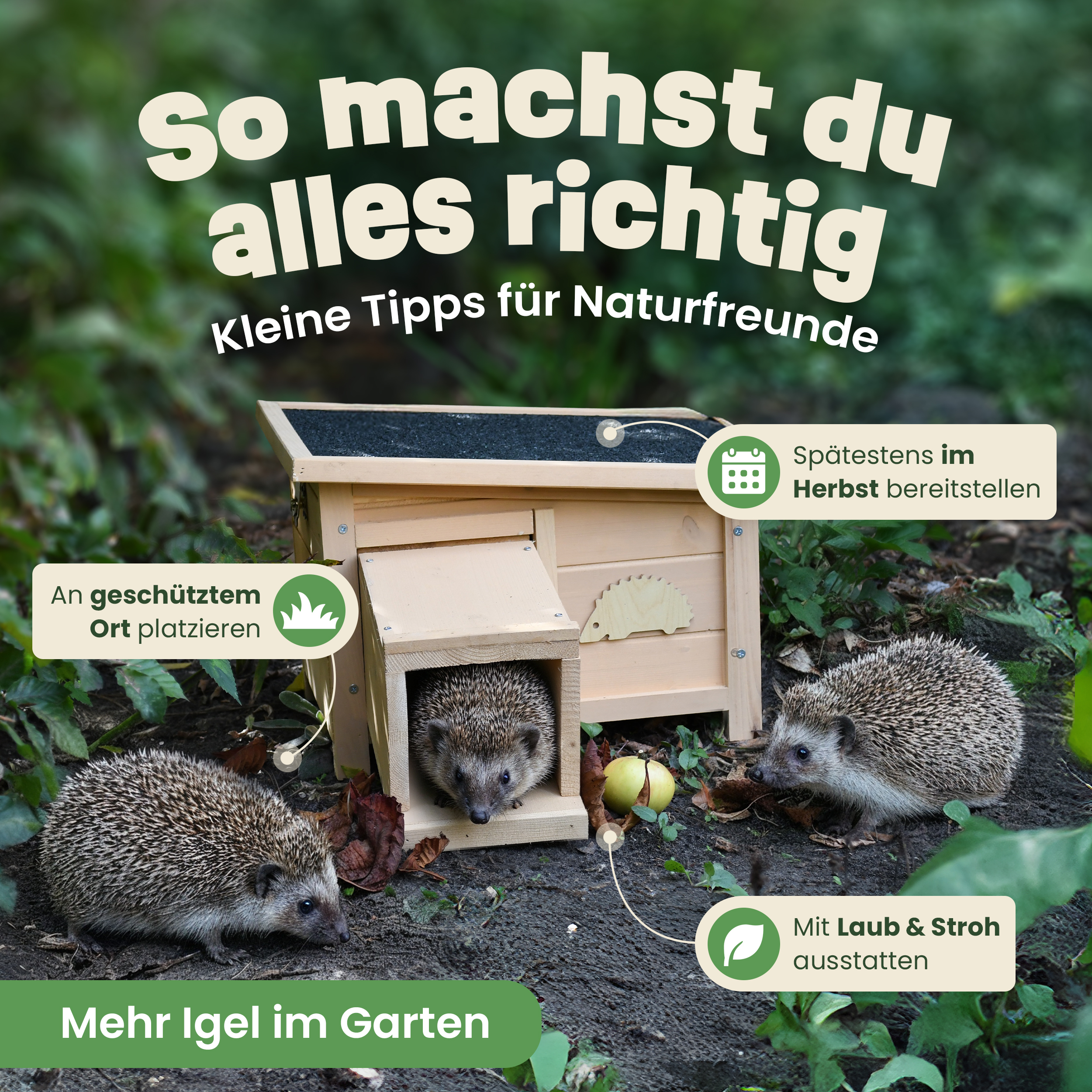 Vollholz Igelhaus zooprinz Hugo – gemütliches Zuhause für Wildtiere