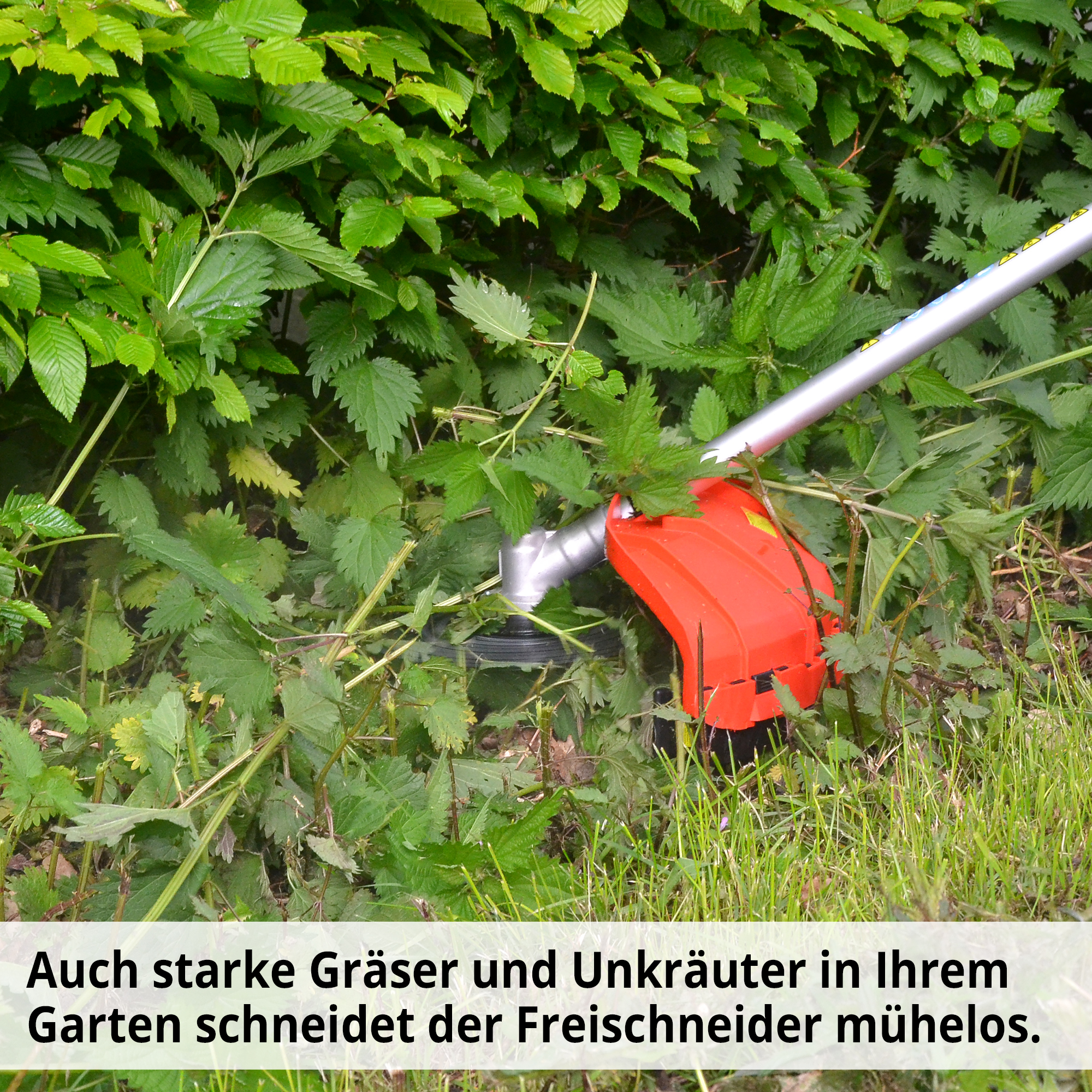 293-galeriebild_8