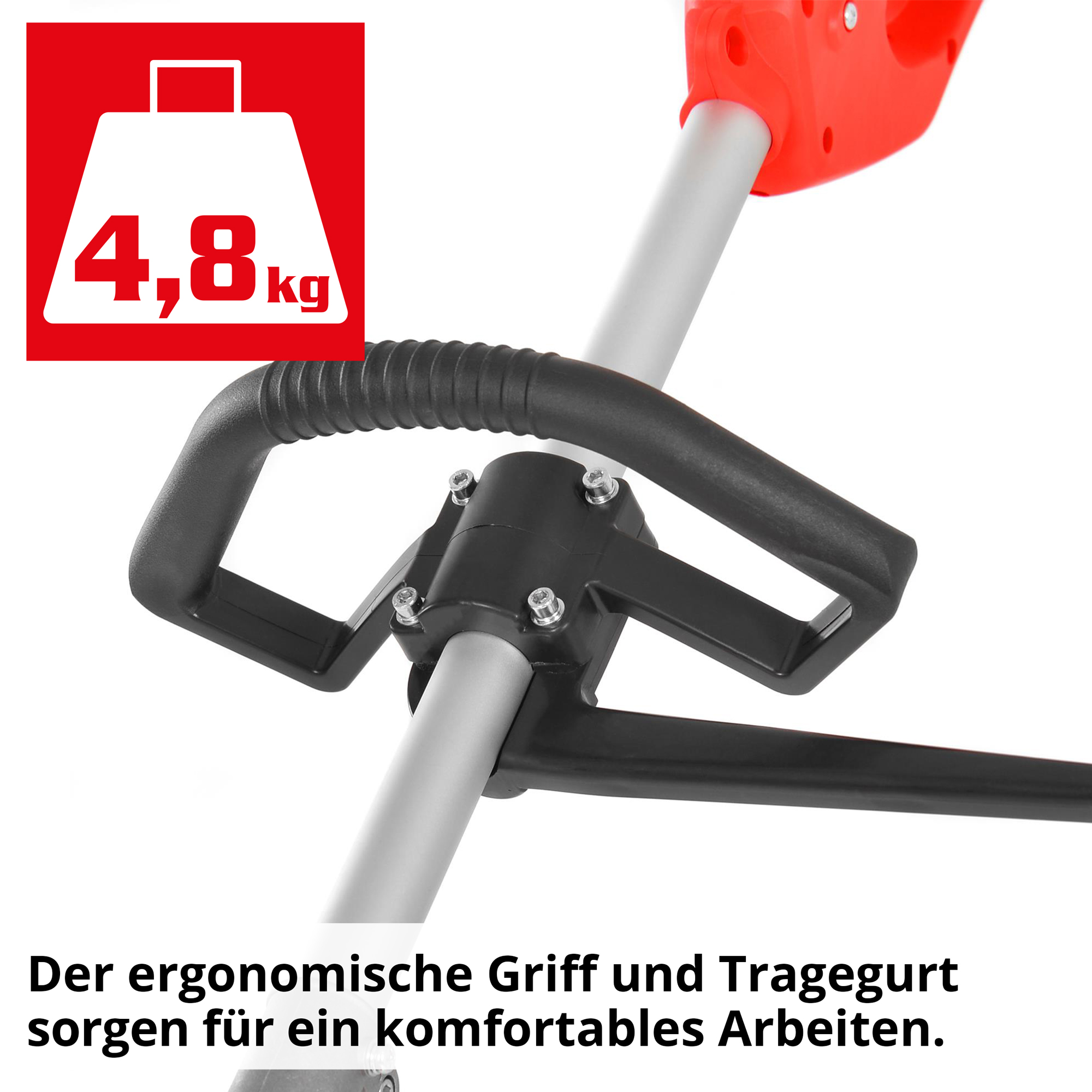 469-galeriebild_4