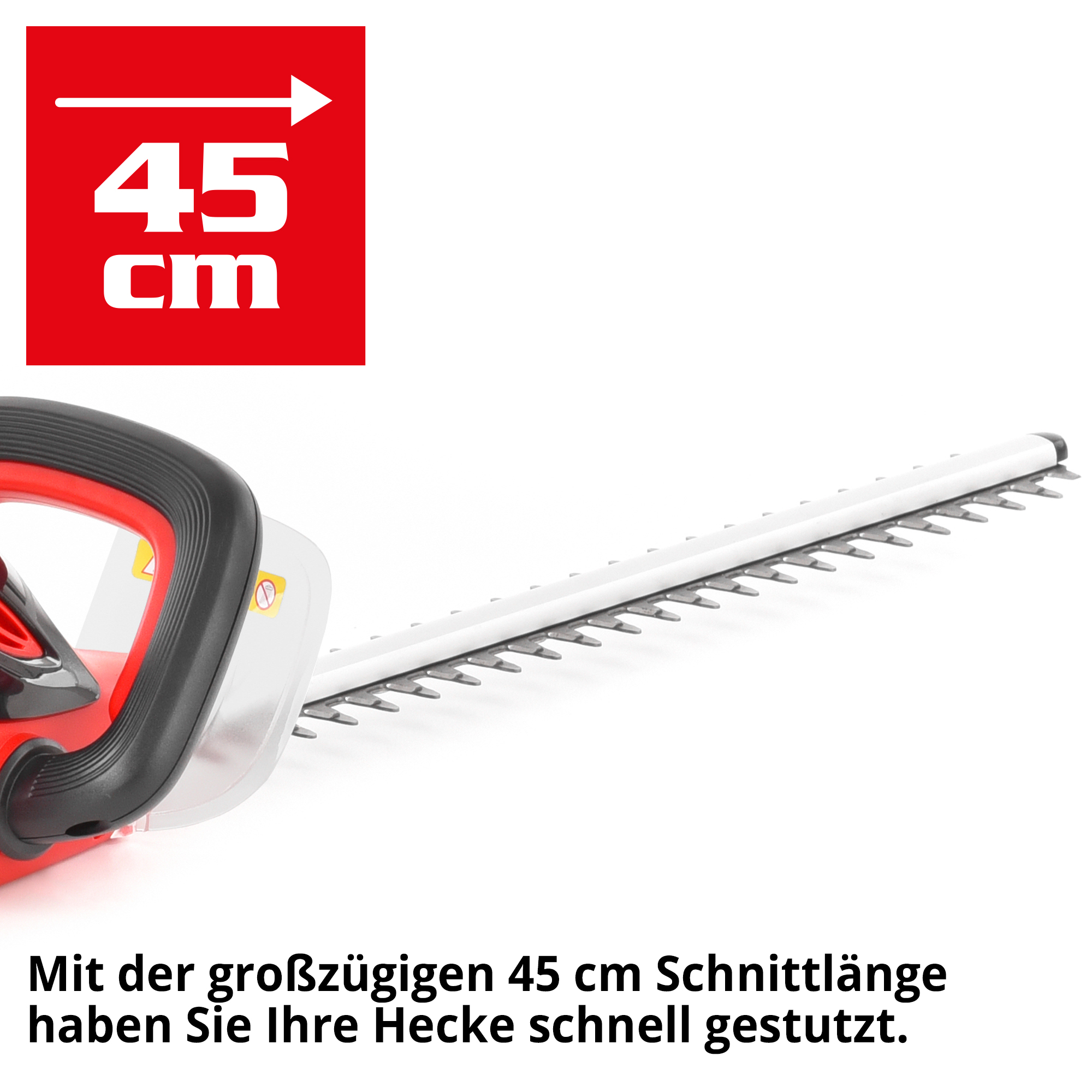 1131-galeriebild_2