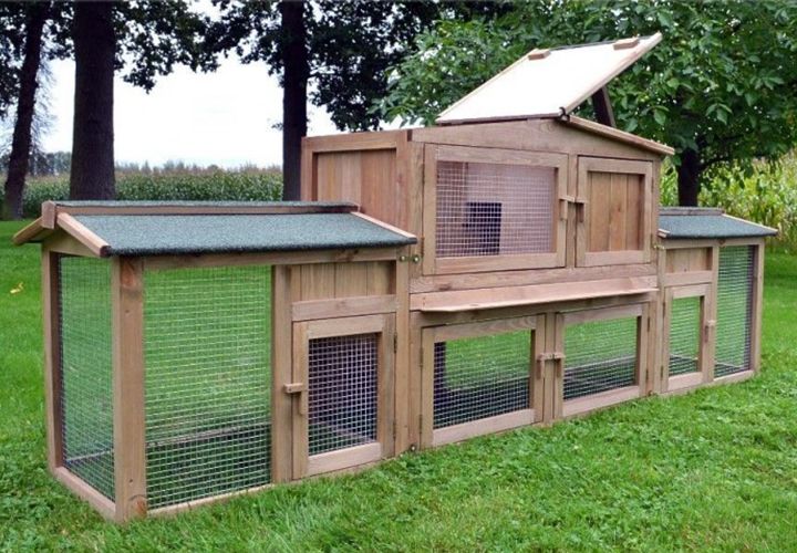 Hasenstall 011 - Dr. Hase; Zuhause für Kaninchen, Hasen, Meerschweinchen und andere Kleintiere