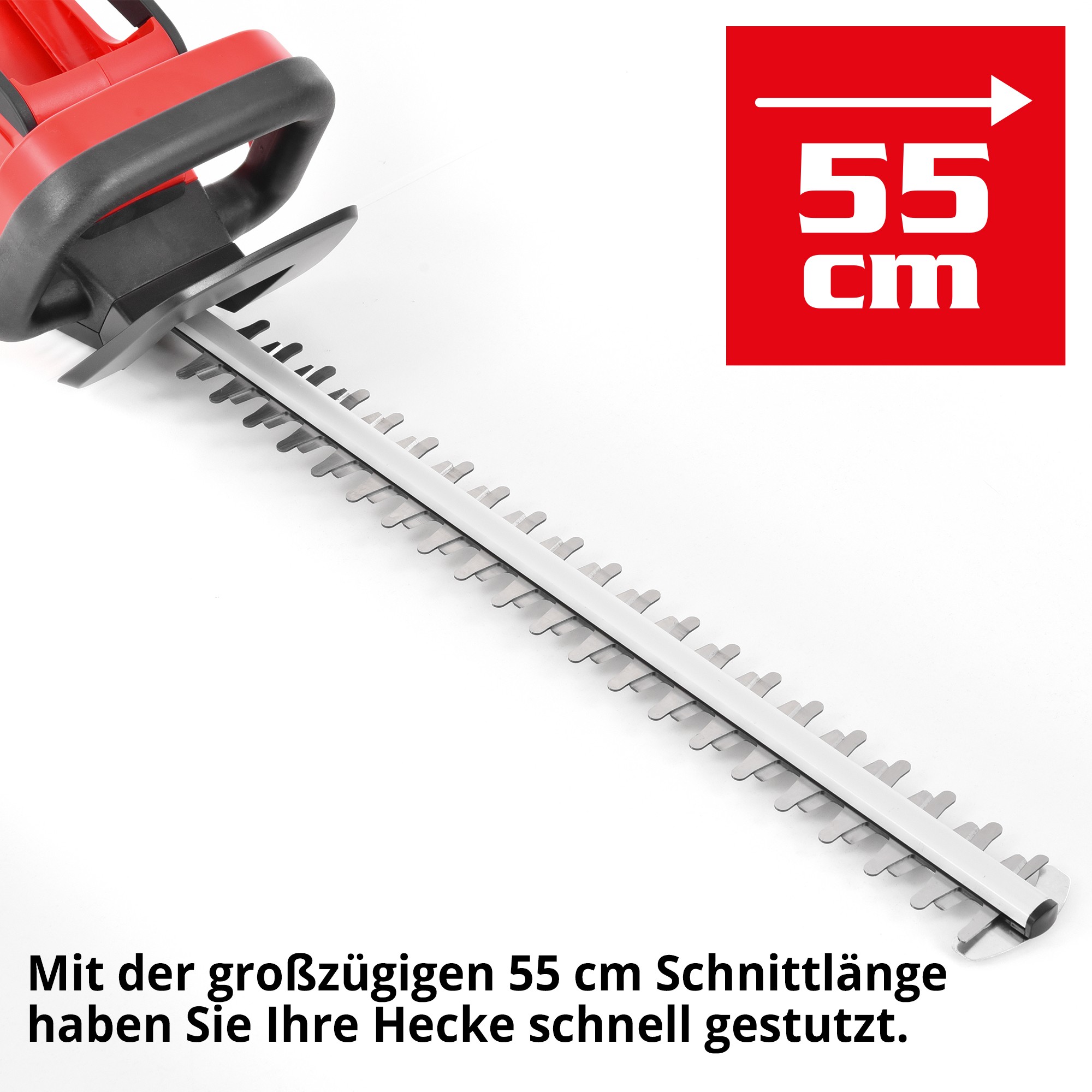 1775-galeriebild_2