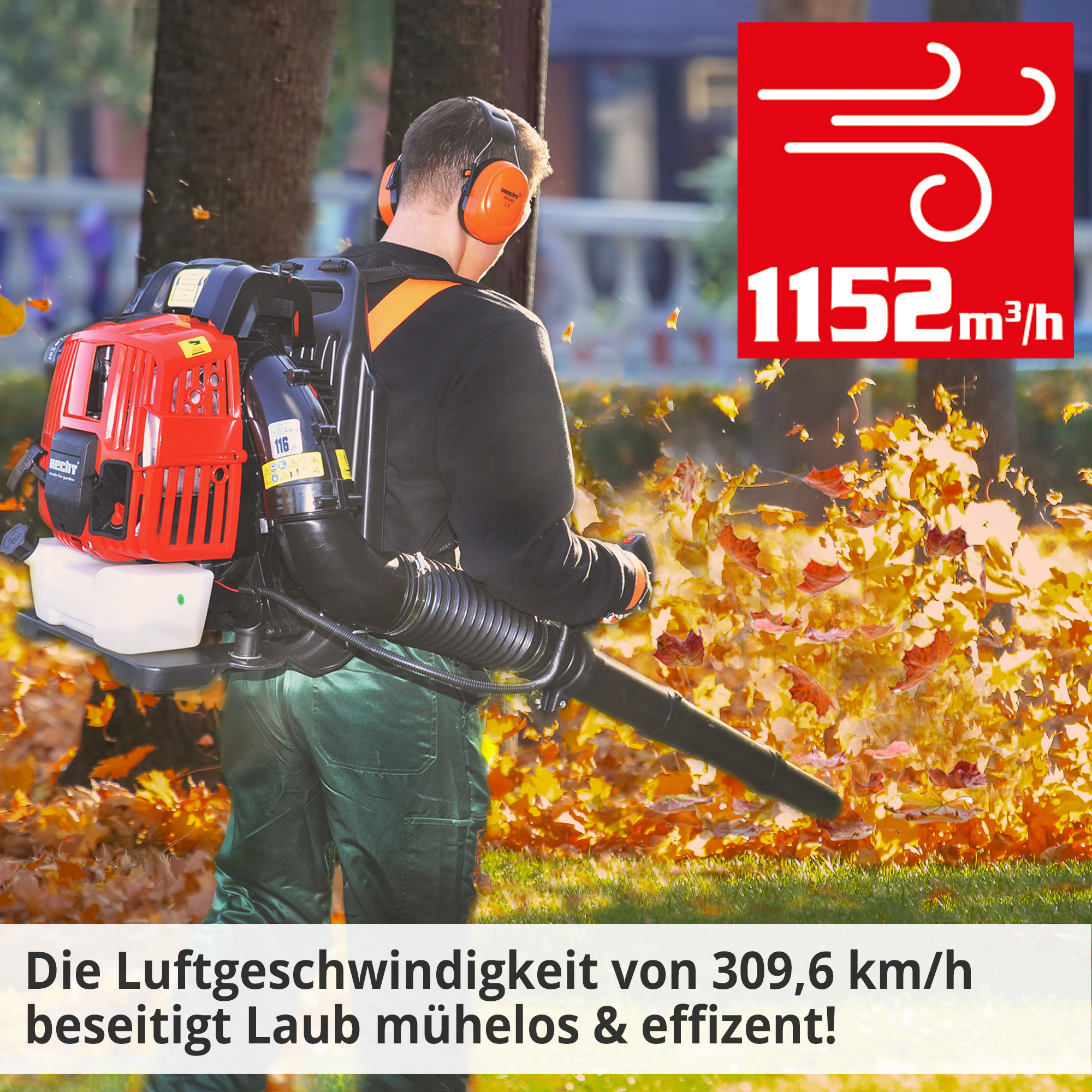 2586-galeriebild_1