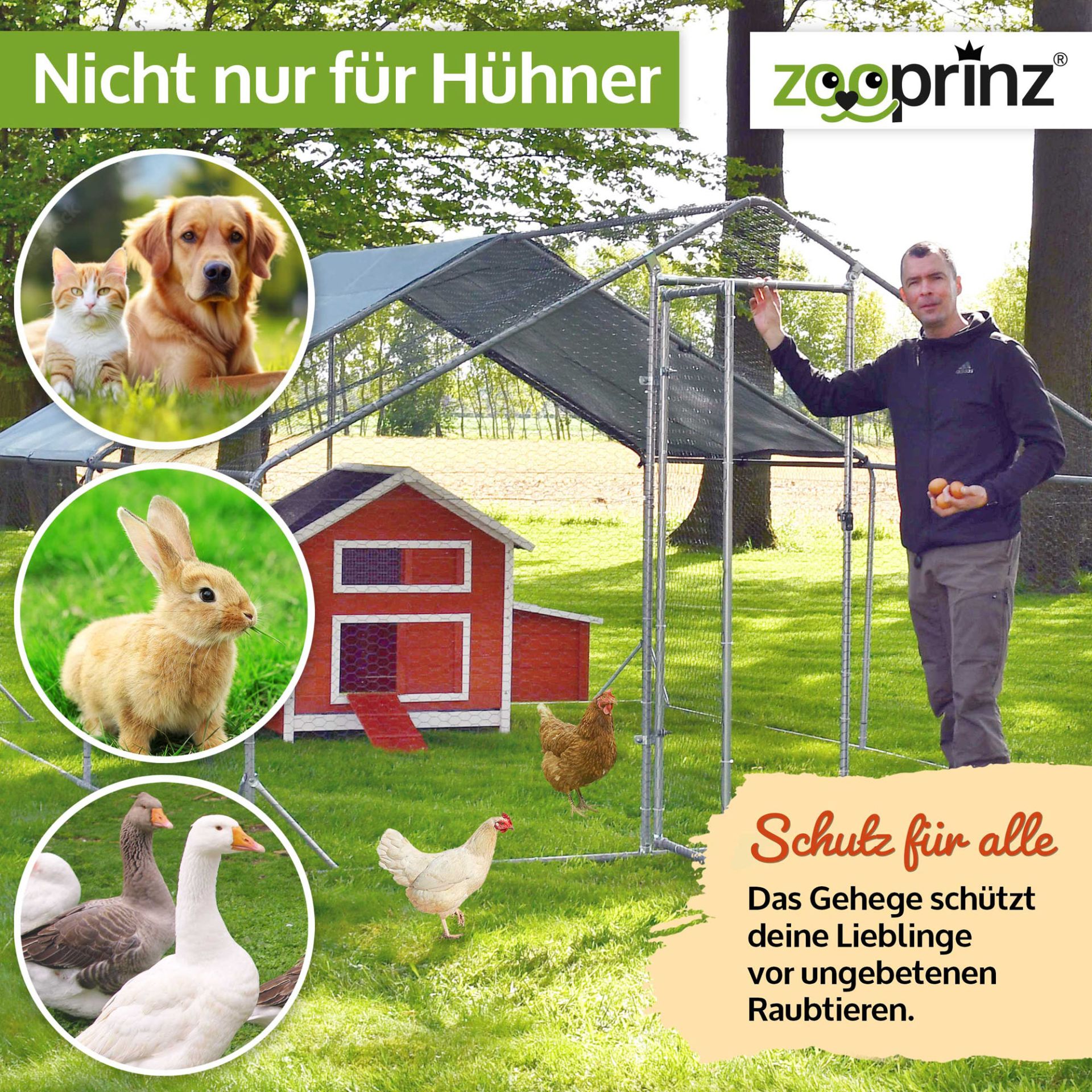 Hühnervoliere Steel; Schutz vor Raubtieren - auch für andere Tiere außer Hühner Hühnervoliere Steel; Schutz vor Raubtieren - auch für andere Tiere außer Hühner