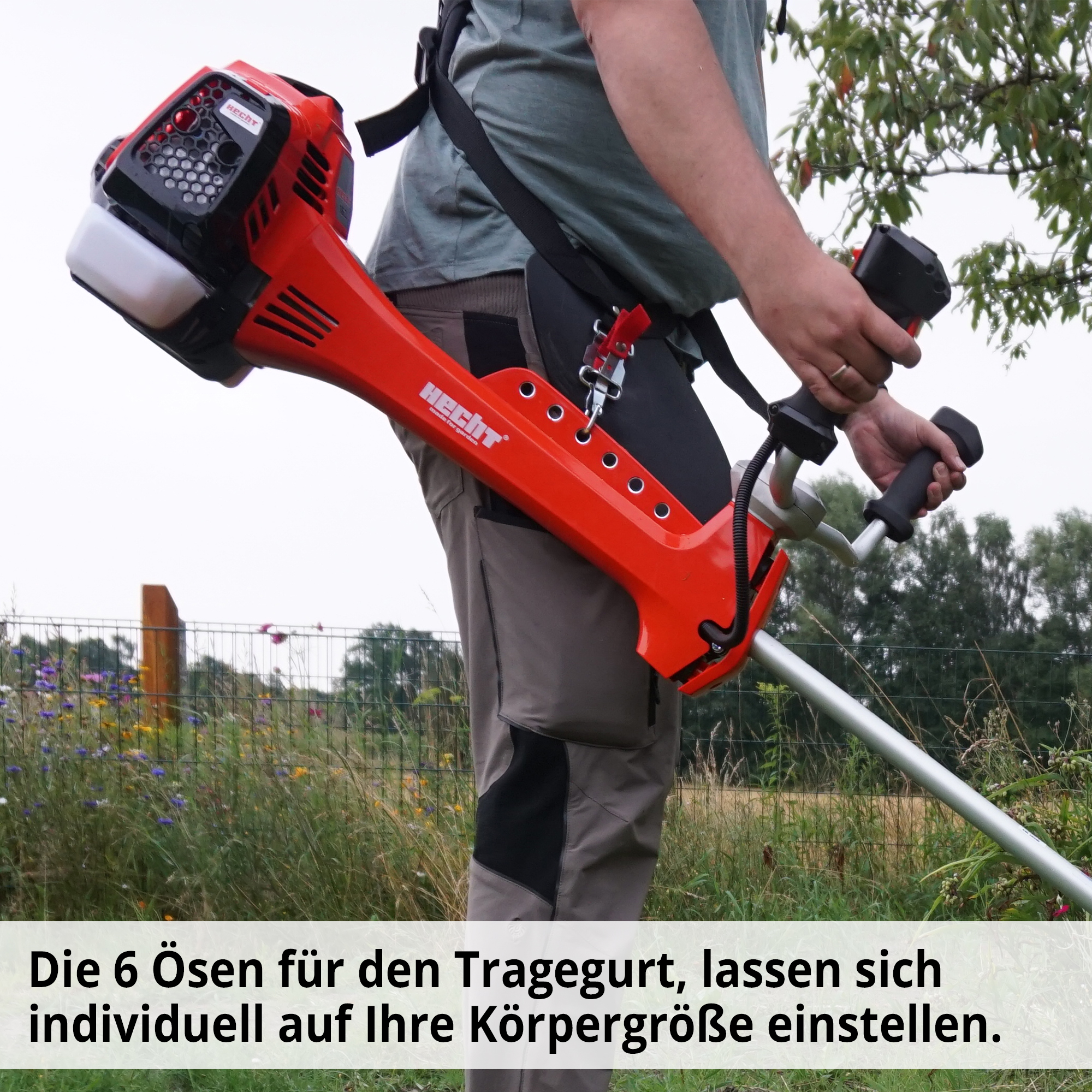 1381-galeriebild_7
