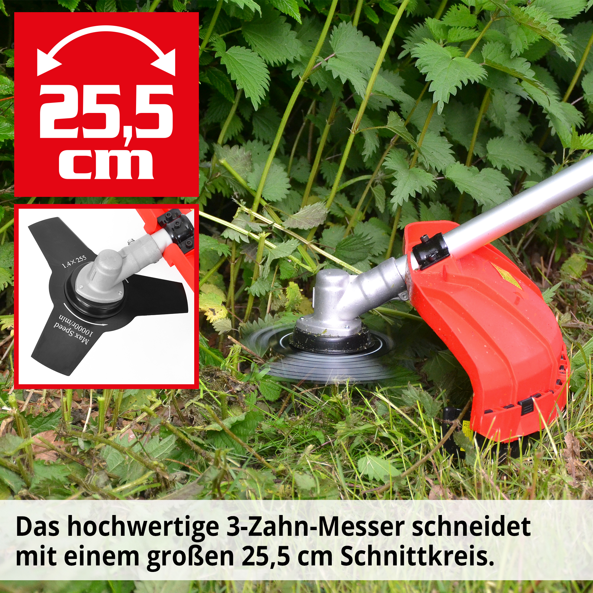 293-galeriebild_2
