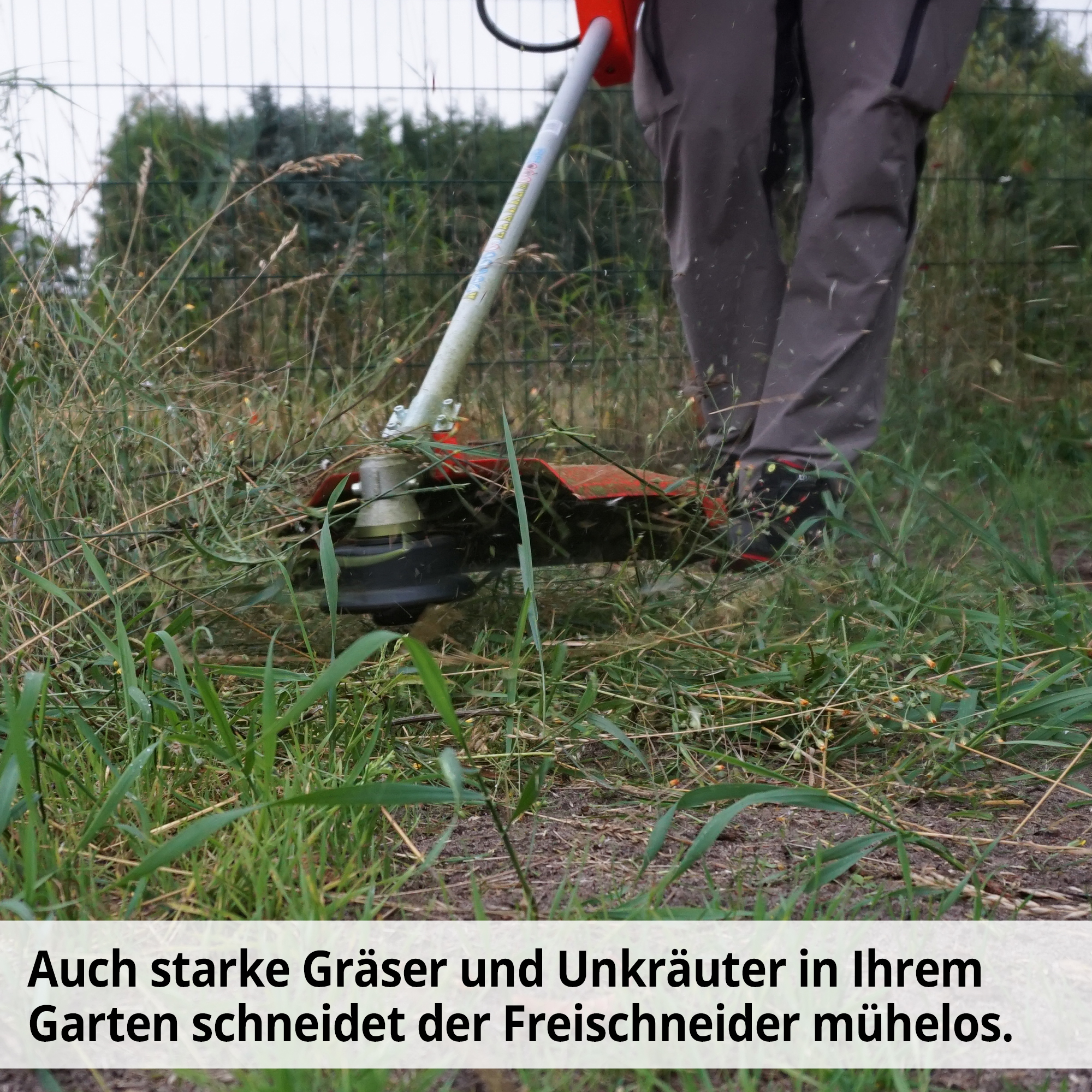 1381-galeriebild_9