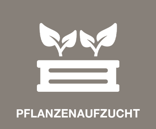 Pflanzenaufzucht